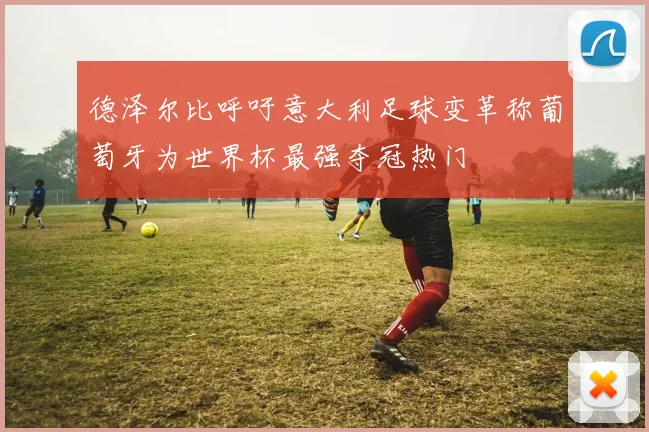 德泽尔比呼吁意大利足球变革称葡萄牙为世界杯最强夺冠热门