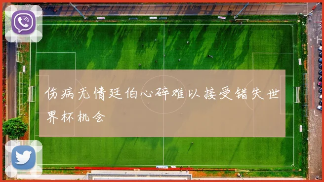 伤病无情廷伯心碎难以接受错失世界杯机会
